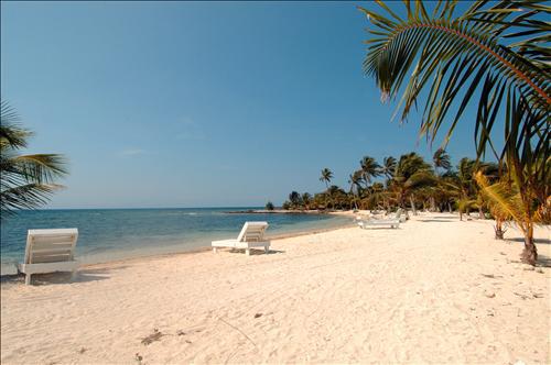 Laguna Beach Resort Útila Faciliteter billede